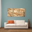 Ver imagem 2 de Conjunto Quadro decorativo Árvore Natureza Folhagem de Outono em Tecido