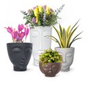 Ver imagem 4 de Vaso Face Menino 14 (1l) Café Imperial Nutriplan