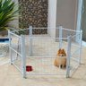 Cercado Casinha Cachorro Pet Filhotes Cão 6/80cm com Portão - Branco - 1