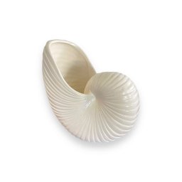 Vaso Decorativo Concha Nautilus Off White em Cerâmica - 3