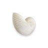 Vaso Decorativo Concha Nautilus Off White em Cerâmica - 4