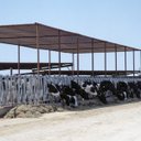 Ver imagem 3 de Tela Sombreamento 80% 4x10m Solpack