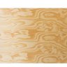 Compensado Pinus Clear 10mm - 1