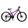 Bicicleta Master Bike Aro 26 Free Rider Freio à Disco A-36 21 V Roxo Neon - 1