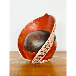 Escultura Cabeça Indígena Terena com Cocar em Cerâmica. Decoração Artesanal - 2