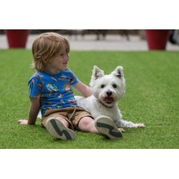 Grama Sintética Pet Love Atóxica para seu Pet - 12mm - Verde - 2