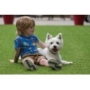 Ver imagem 2 de Grama Sintética Pet Love Atóxica para seu Pet - 12mm - Verde