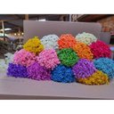 Ver imagem 2 de Flor Sempre Viva Laranja , Flores de Qualidade Premium , Kit com 5 Buquês