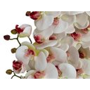 Ver imagem 2 de Kit 6 Orquídeas Artificiais de Silicone + 6 Folhas de Orquídeas Quantidade:12