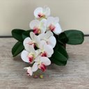 Ver imagem 3 de Kit 6 Orquídeas Artificiais de Silicone + 6 Folhas de Orquídeas Quantidade:12