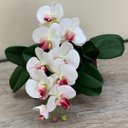Ver imagem 1 de Kit 6 Orquídeas Artificiais de Silicone + 6 Folhas de Orquídeas Quantidade:12
