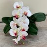 Kit 3 Orquídeas Artificiais de Silicone + 3 Folhas de Orquídeas Quantidade:6 - 1