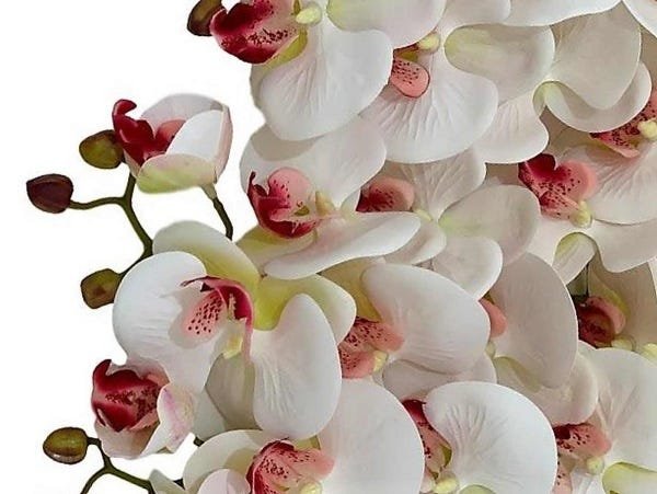 Kit 3 Orquídeas Artificiais de Silicone + 3 Folhas de Orquídeas Quantidade:6 - 2