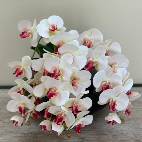 Kit 6 Flores Artificiais Orquideas de Silicone 3D Branco com Rosa Cor:Rosa  | MadeiraMadeira