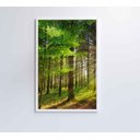 Ver imagem 3 de Quadro Árvore Verde 2 - 60x90 Cm - Adesivo Fotográfico