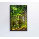 Ver imagem 4 de Quadro Árvore Verde 2 - 60x90 Cm - Adesivo Fotográfico