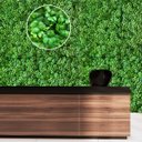 Ver imagem 7 de 25 Placas Trevo Artificial (60x40) Folhagem Verde para Painel Decorativo e Muro Vertical Interno