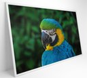 Ver imagem 3 de Quadro Arara Decor&quadros Nat045