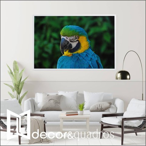 Quadro Arara Decor&quadros Nat045
