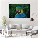 Ver imagem 1 de Quadro Arara Decor&quadros Nat045