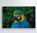 Ver imagem 5 de Quadro Arara Decor&quadros Nat045