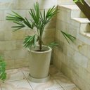 Ver imagem 2 de Kit Vaso Planta + Prato 50x40 Redondo Cônico Polietileno BGPLASTICOS AREIA 001