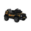 Ver imagem 1 de Ecojipe R/c Eletrica Bandeirante