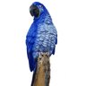 Enfeite de jardim decoração arara azul - 3