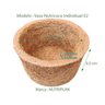 Vaso Fibra Natural Coco Xaxim Flores Ecologio N°02 - 4 Und - 3