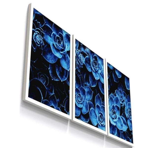 Kit 3 Quadro Decorativo Botanico Floral Flor Suculenta - 1