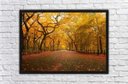 Ver imagem 5 de Quadro Decorativo Árvore Natureza Paisagens Salas Interiores Com Moldura Decorações