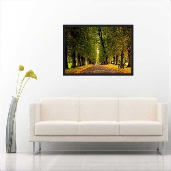 Quadro Decorativo Árvores Estrada Natureza Paisagens Salas Interiores Com Moldura Decorações - 1