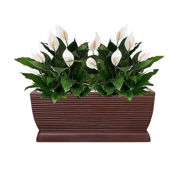 Vaso Jardineira Resina Polietileno 60x25 Cm Marrom Chocolate - 3