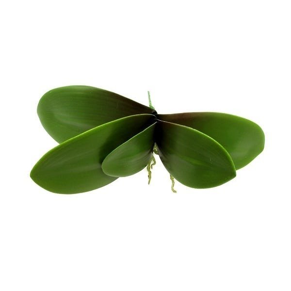Folha De Orquidea Artificial Com 10 - 2