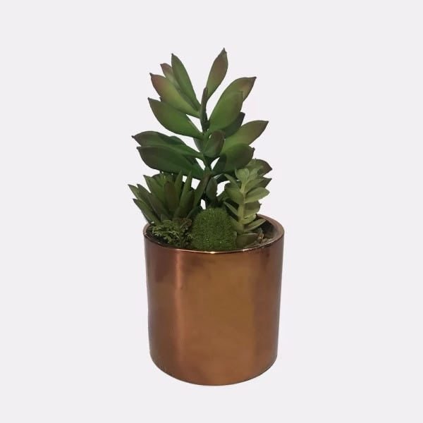 Vaso Decorativo Planta Suculenta Folhas 15 cm - D'Rossi - 1