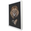 Ver imagem 2 de Quadro Decorativo Leão de Luxo em Moldura Caixa Tacolado Moldura Trad 1cm Madeira Escura com Vidro 3