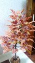Ver imagem 1 de Planta Artificial Árvore Folha Canadense Outono 1,30 Metros de Altura