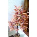 Ver imagem 1 de Planta Artificial Árvore Folha Canadense Outono 1,30 Metros de Altura