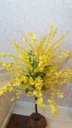 Ver imagem 2 de Planta Artificial Árvore Chuva de Ouro 1,30 metros de altura