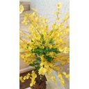 Ver imagem 1 de Planta Artificial Árvore Chuva de Ouro 1,30 metros de altura