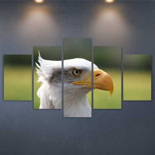 QUADRO MOSAICO DECORATIVO 5 PEÇAS DECORATIVO ANIMAIS 58 - 2