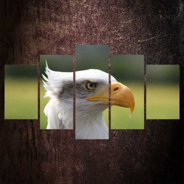 QUADRO MOSAICO DECORATIVO 5 PEÇAS DECORATIVO ANIMAIS 58 - 1
