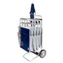 Ver mais imagens de Carrinho de Praia Preto