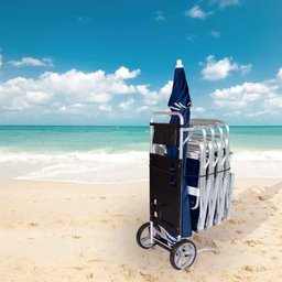 Carrinho de Praia Preto - 9