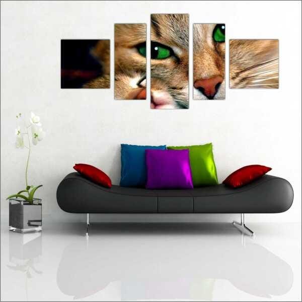 Quadro Decorativo Animais Gato PetShop Salas Interiores Mosaico 5 Peças Com Moldura - 4