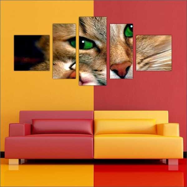 Quadro Decorativo Animais Gato PetShop Salas Interiores Mosaico 5 Peças Com Moldura - 3