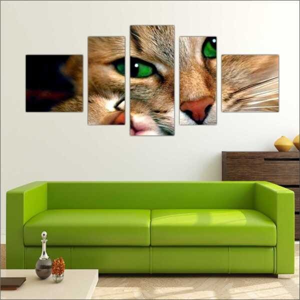 Quadro Decorativo Animais Gato PetShop Salas Interiores Mosaico 5 Peças Com Moldura - 5