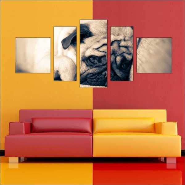 Quadro Decorativo Animais Cão Pug PetShop Salas Interiores Mosaico 5 Peças Com Moldura - 2