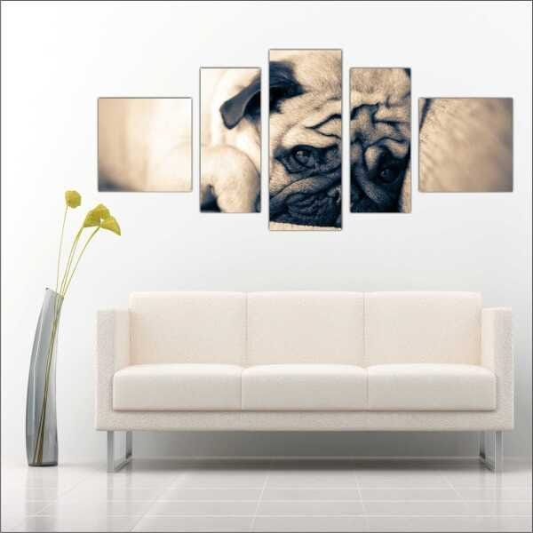 Quadro Decorativo Animais Cão Pug PetShop Salas Interiores Mosaico 5 Peças Com Moldura - 3