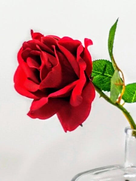Rosa Artificial Silicone + Garrafa De Vidro Quadrada - 2